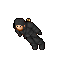 Assassin